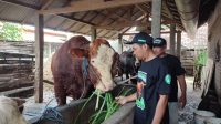 60 Dokter Hewan Dikerahkan DKPP Kota Blitar, Idul Adha 2025
