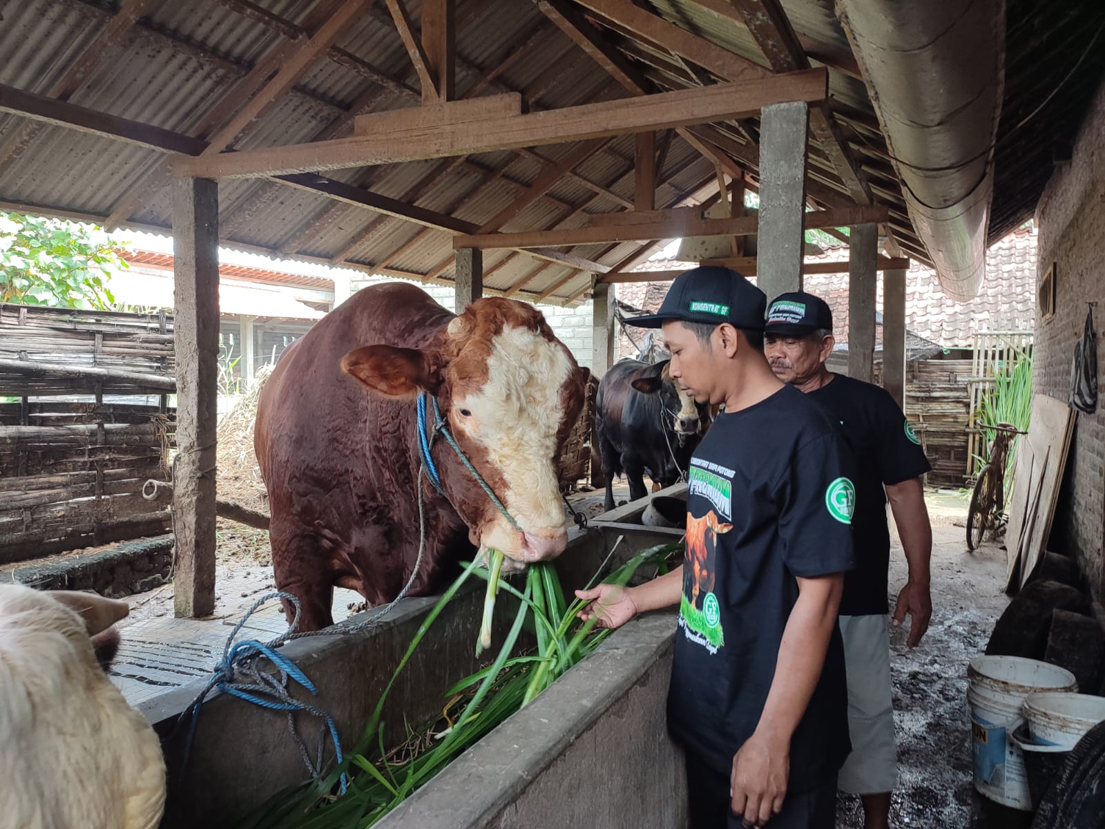 60 Dokter Hewan Dikerahkan DKPP Kota Blitar, Idul Adha 2025