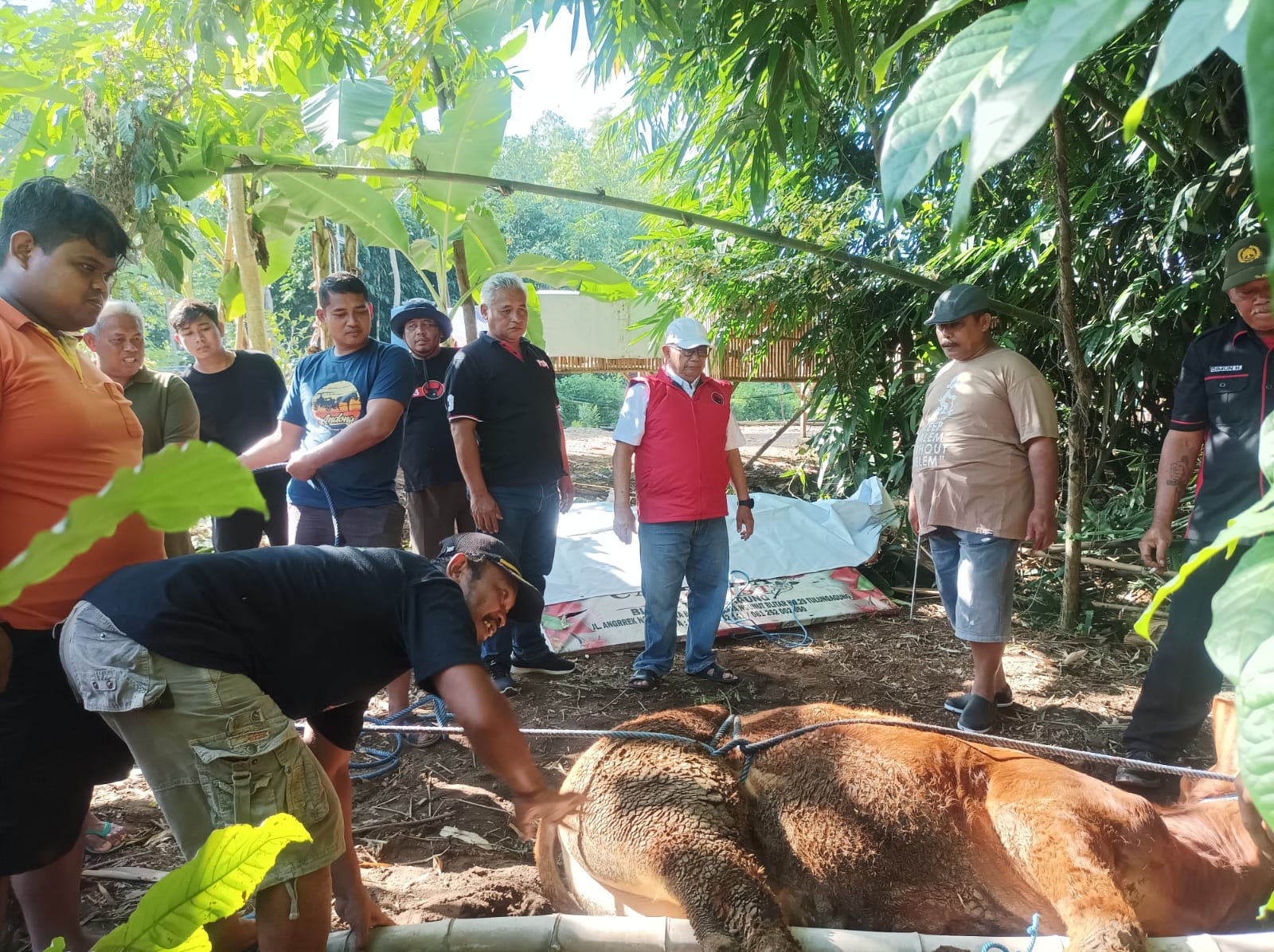 Rijanto Pimpin Kurban Idul Adha di Kantor DPC PDIP Blitar: Bentuk Gotong Royong dan Kepedulian Sosial