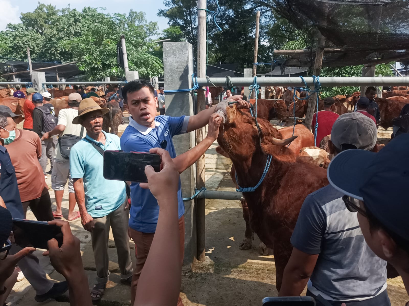 Mas Ibin Tinjau Pasar Dimoro: Stok Kurban Aman, Harga Masih Terjangkau