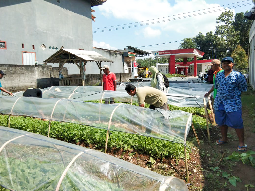 DKPP Kabupaten Blitar Bimbing Petani Tingkatkan Kualitas Tembakau Lewat Bimtek dan Bantuan Alsintan DBHCHT