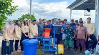Limbah Buah Naga Jadi Pakan Ternak Murah, Petani Dapat Solusi dari Universitas Palangka Raya