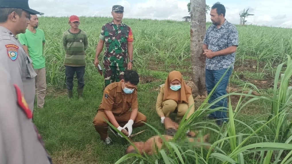 Geger! Mayat Misterius Ditemukan di Bawah Pohon Pete Blitar