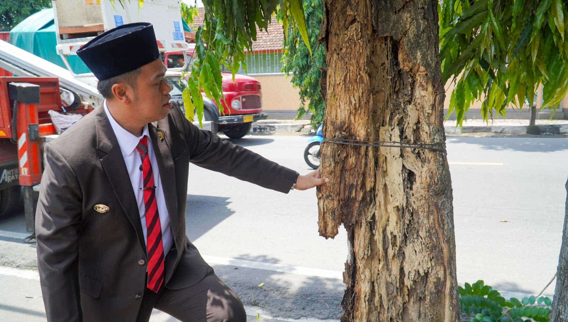 Gerak Cepat Walikota Blitar Mas Ibin Tebang Pohon Kropos di Jalan Bali